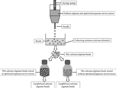 Image result for Over Encapsulation Procedure