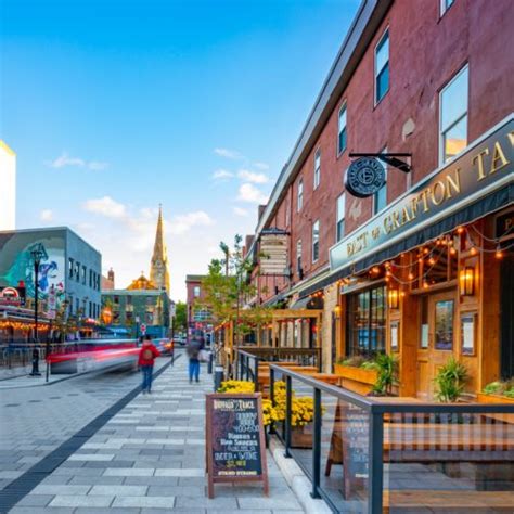 Support Local Halifax 的图像结果