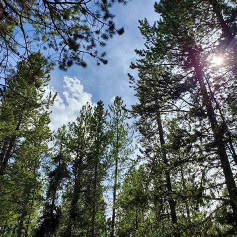 Winfield City Lake Camping | Winfield, Kansas