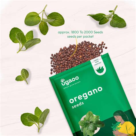 Buy Premium Herb Seeds Online in India- Grow Fresh Herbs at Home – Ugaoo