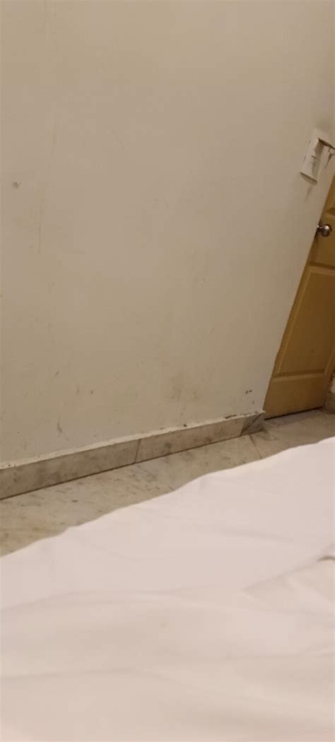 HOTEL KLICK INTERNATIONAL (New Delhi) - Lodge Reviews, Photos, Rate ...