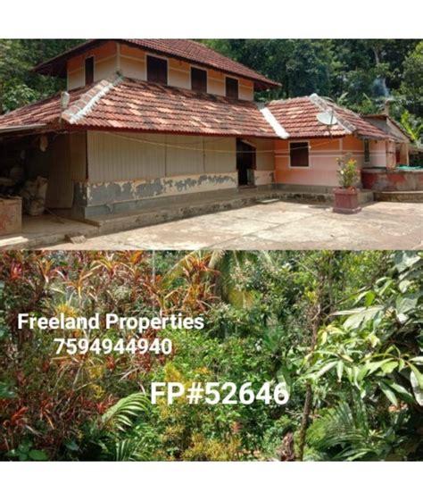 7 Acre Land House for sale in Panamaram