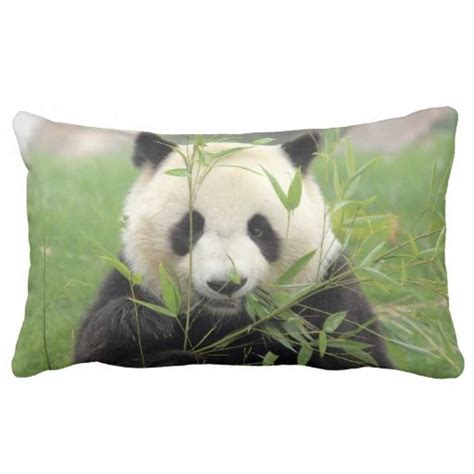 Image result for Giant Python Pillow