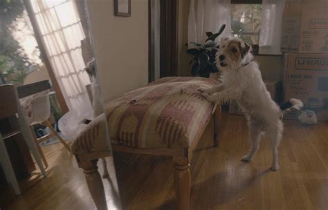 Image result for Marcel the Shell House Images