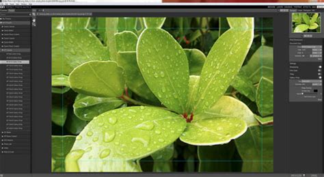 OnOne Perfect 8 1 Suite Tutorials 的图像结果