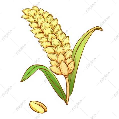 Wheat Drawing