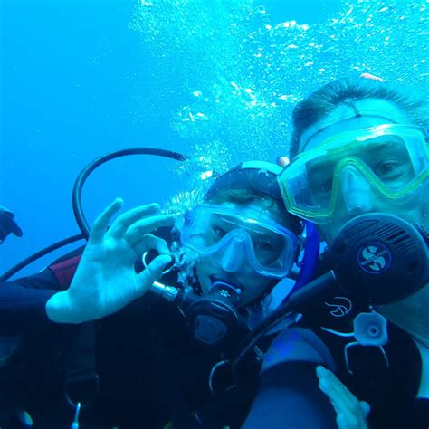 Dive Art - All You Need to Know BEFORE You Go (2024) - Tripadvisor