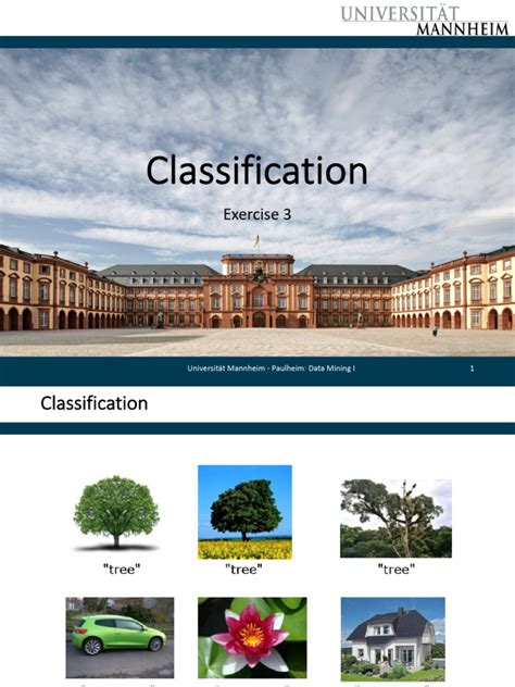 DM Exercise 的图像结果