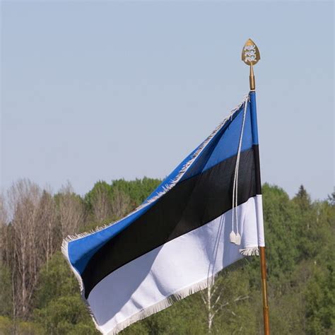 Estonian Flag