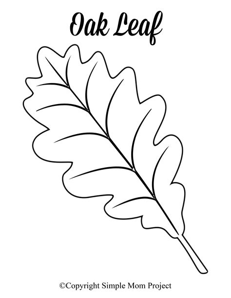 Printable Leaf Patterns 的图像结果