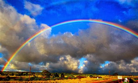 Rainbow Nature 的图像结果
