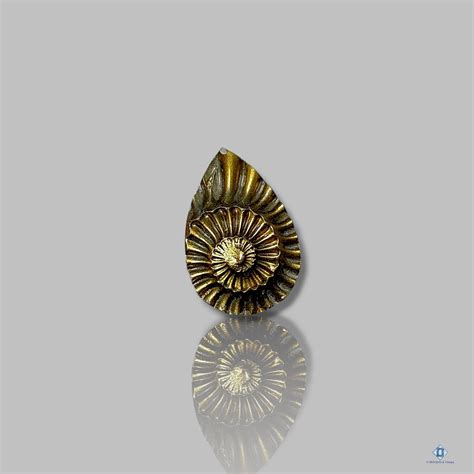 Pyritized Ammonite Fossil Carving cabochons for women | Stunning Fossil ...