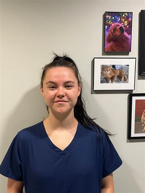 About Animal Hospital | Snellville, GA | Brookwood Animal Hospital