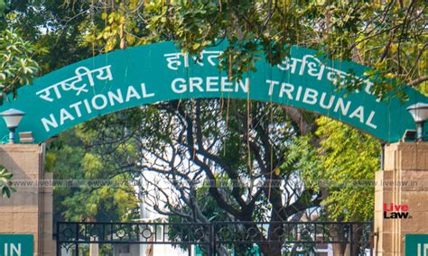 National Green Tribunal Directs Himachal Pradesh Government To Consider ...