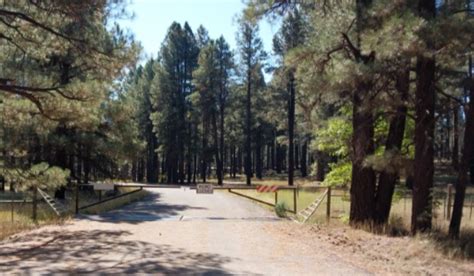 AZGFD Fishing Report - February 2025