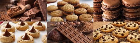 Soya Lecithin - Shree Siddhi Vinayak Corporation