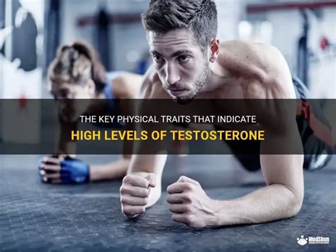 Image result for High Testosterone Levels Sign