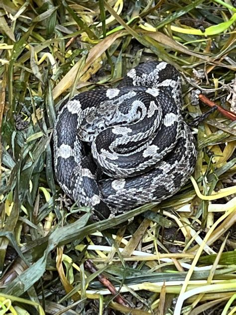 Best Lake Wylie Posts - Reddit