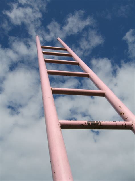 Image result for Ladder Lass