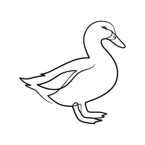 Image result for Duck Single Line Drawing