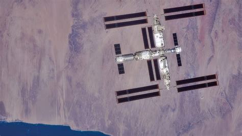 Mice that returned alive from Chinese space station give birth on Earth
