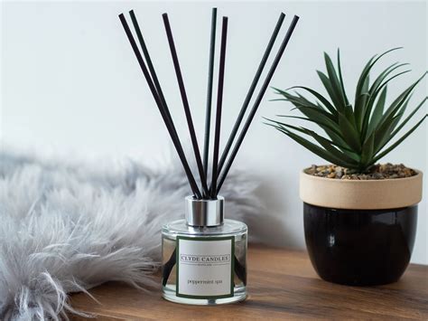 Image result for Oil Diffuser Sticks