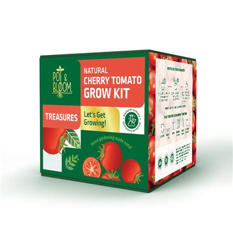 Treasures Cherry Tomato Kit – Ugaoo