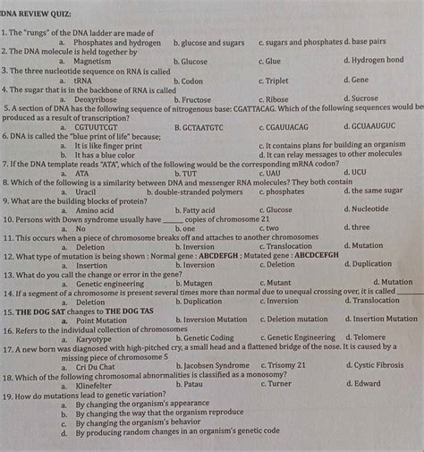Solved: DNA REVIEW QUIZ: 1. The “rungs” of the DNA ladder are made of a ...