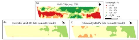 Assessing the Temporal and Spatial Variability of Coffee Plantation ...