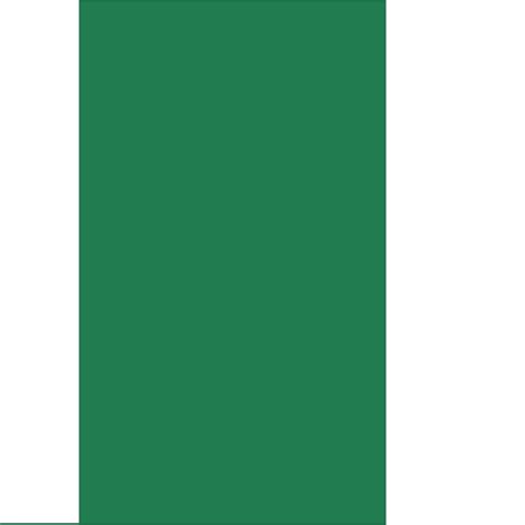 Lana Colour Pastel Paper - Imperial - Fir Green - Textured + Smooth 160 ...