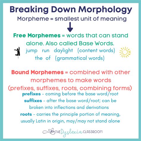 What Does Morphology Mean In English Language at Daniel Hodges blog