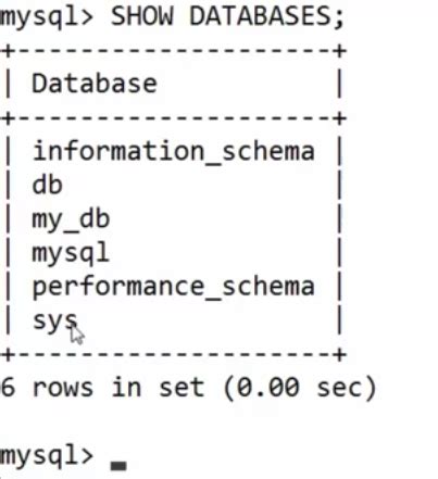 SQL Show Databases 的图像结果