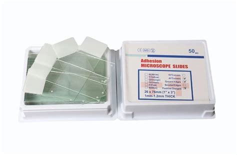 Image result for Compound Microscope Slides