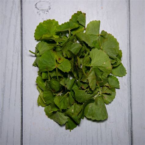 Brahmi Leaves - 100 % Natural & Farm Fresh – Kedia Organic Agro Farms