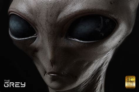 Alien Evel Grays 的图像结果