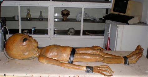 Image result for Alien On News