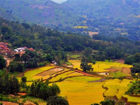 States With Most People Vaccinated