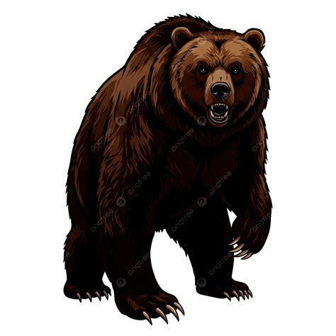 Grizzly Bear Clipart