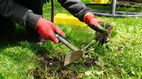 Pulling Weeds - The Positive Works