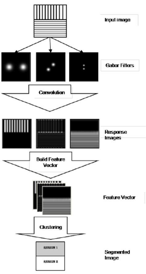 Image result for Image Segmentation Algorithm