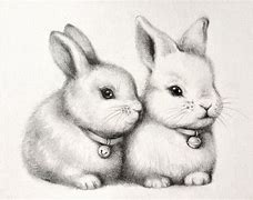 Image result for Baby Rabbit Realistic Drawing