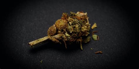 Geringe Menge nach § 31a BtMG - Rechtslage in Deutschland - Hanf Magazin