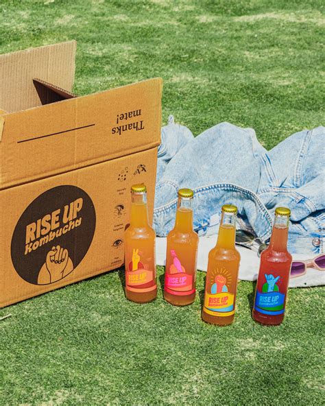 Party Pack (24 pack - mix flavours) – Rise Up Kombucha