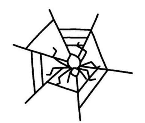 蜘蛛怎么画简笔画qq儿童学画画简笔画蜘蛛2022已更新今日更新