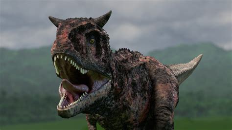 Image result for Star Pattern Java Loop Cod