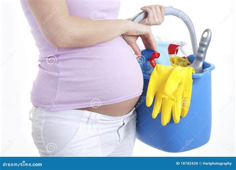 Pregnant woman nesting stock photo. Image of isolated - 18783428