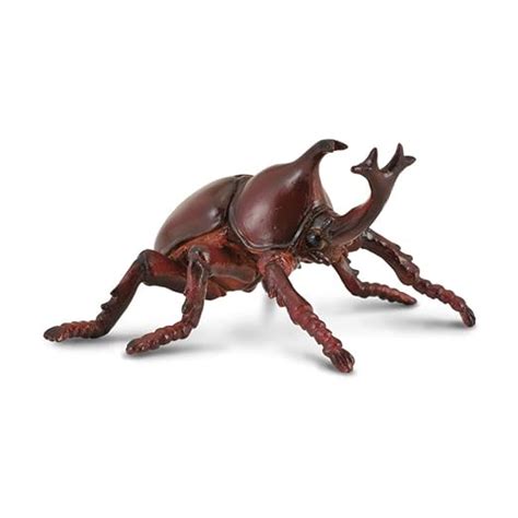 Collecta Insects Rhinoceros Beetle Toy Figure - Authentic Hand Painted ...