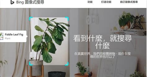 Bing 图片识别 的图像结果