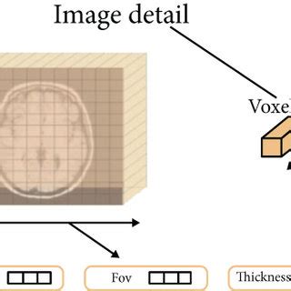Image result for Brain Decimation