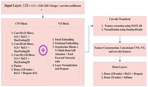 Traumatic Brain Injury Structure Detection Using Advanced Wavelet ...